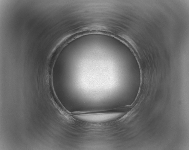 X0000073861115200608312019