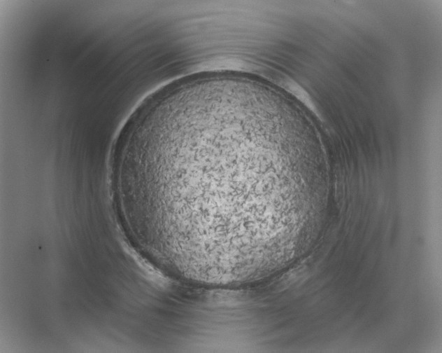 X0000073861116200608312019