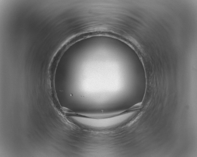 X0000073861118200608312019