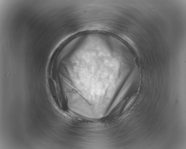 X0000073861120200608312019