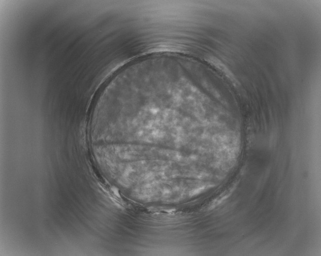 X0000073861121200608312019