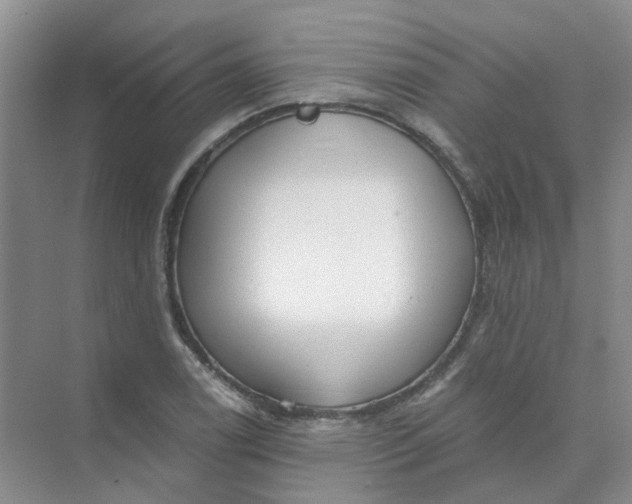 X0000073861122200608312019