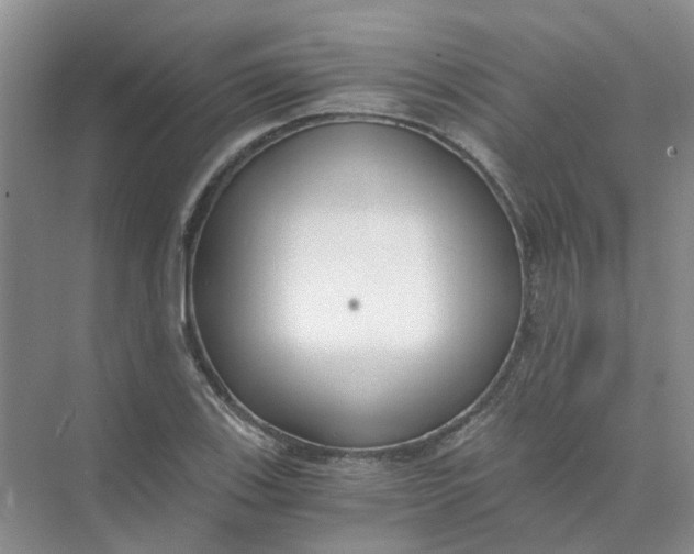 X0000073861123200608312019