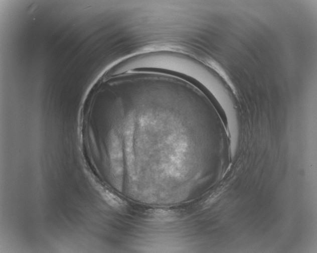 X0000073861124200608312019