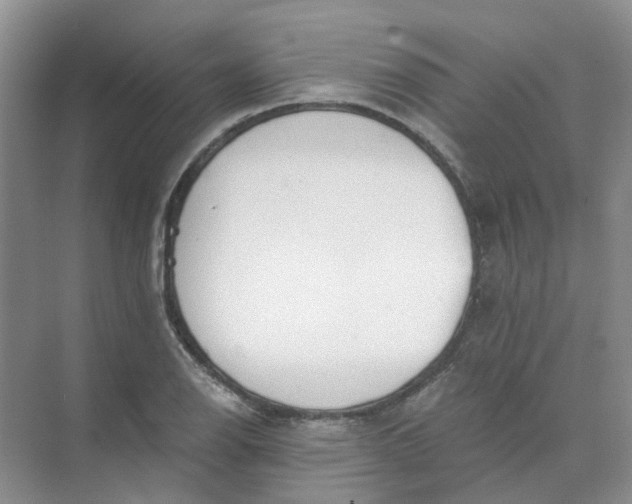 X0000073861126200608312019