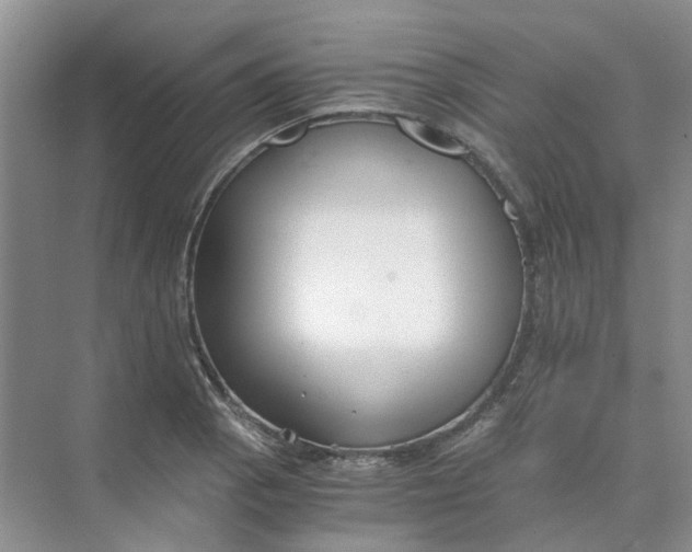 X0000073861129200608312019