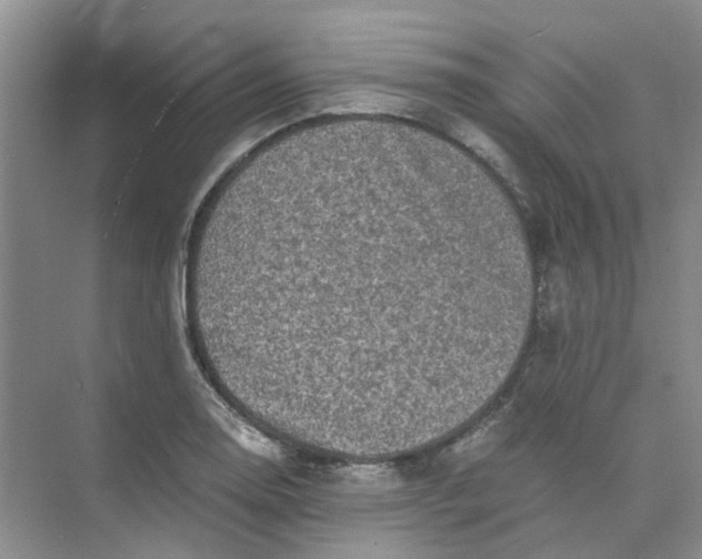 X0000073861130200608312019