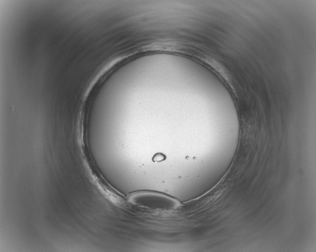 X0000073861131200608312020