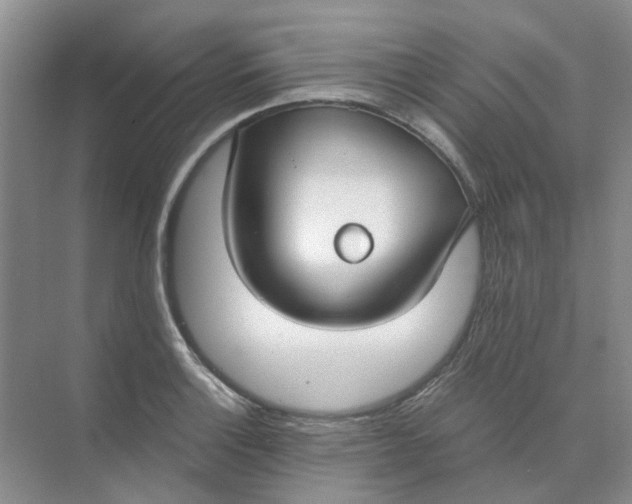 X0000073861132200608312020