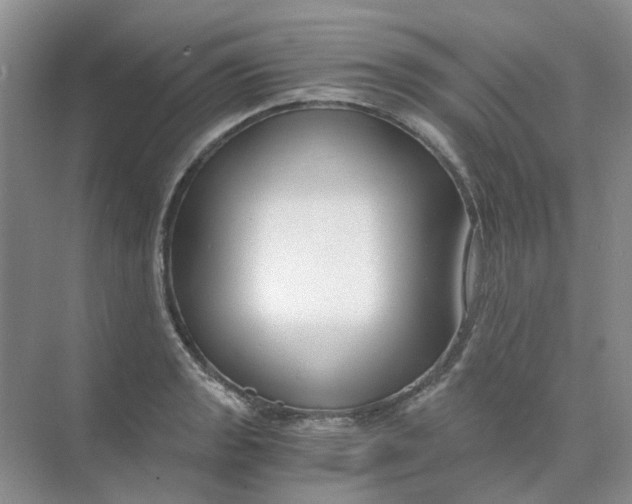 X0000073861133200608312020