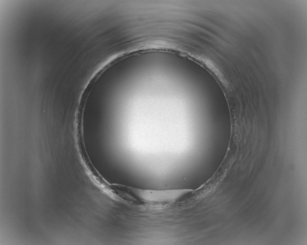 X0000073861134200608312020