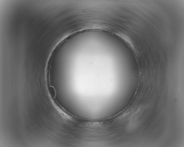 X0000073861135200608312020