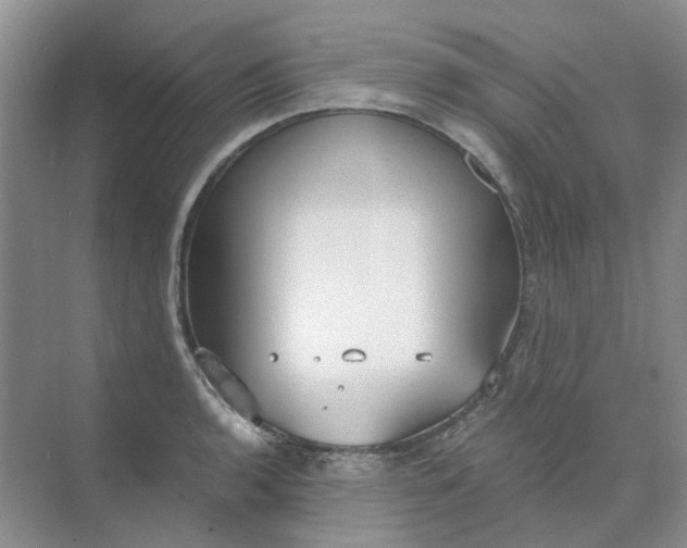 X0000073861136200608312020