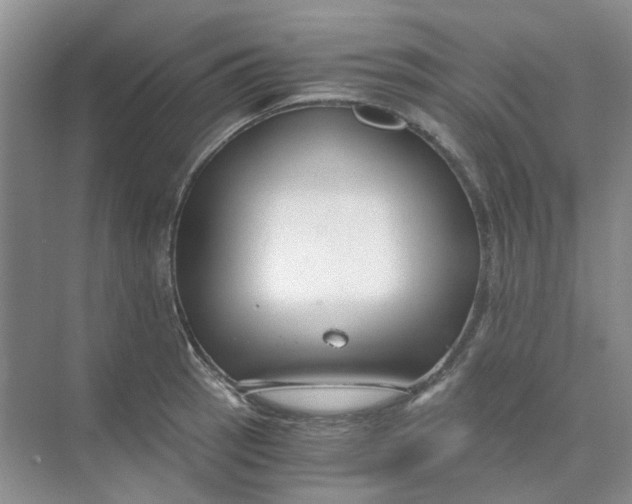 X0000073861137200608312020