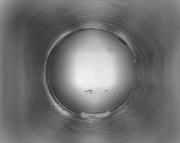 X0000073861139200608312020