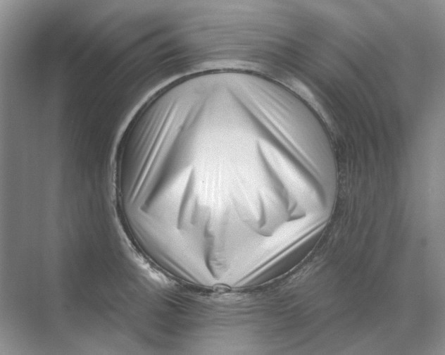 X0000073861140200608312020