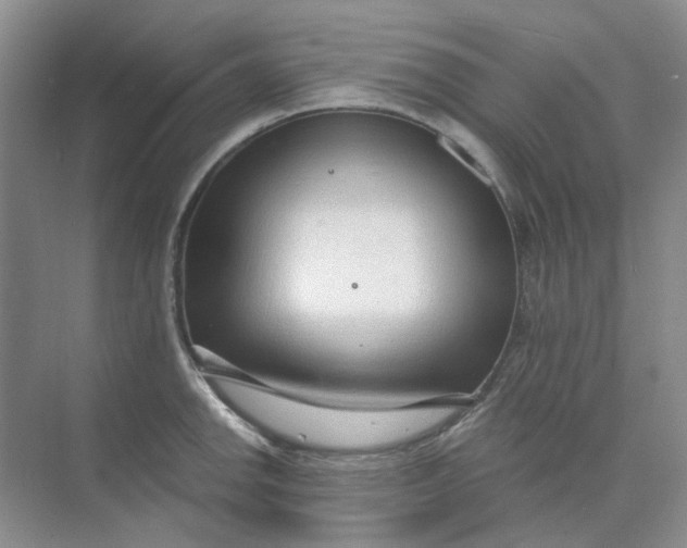 X0000073861142200608312020