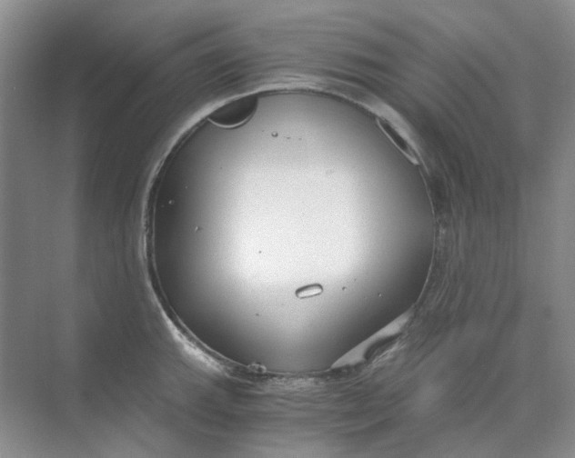 X0000073861143200608312020