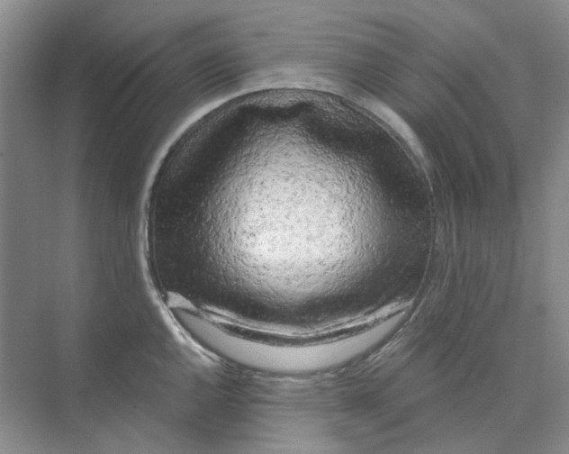 X0000073861144200608312020