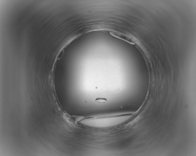 X0000073861145200608312020