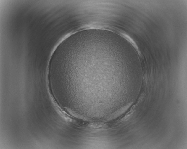 X0000073861146200608312020