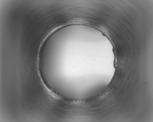 X0000073861147200608312020