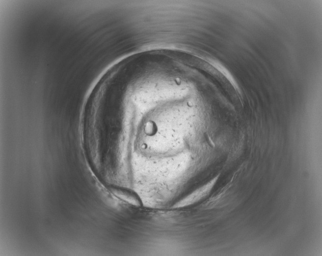 X0000073861148200608312020