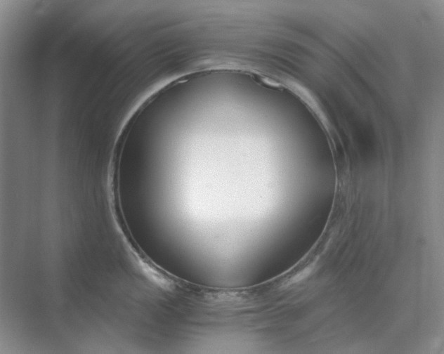 X0000073861149200608312020