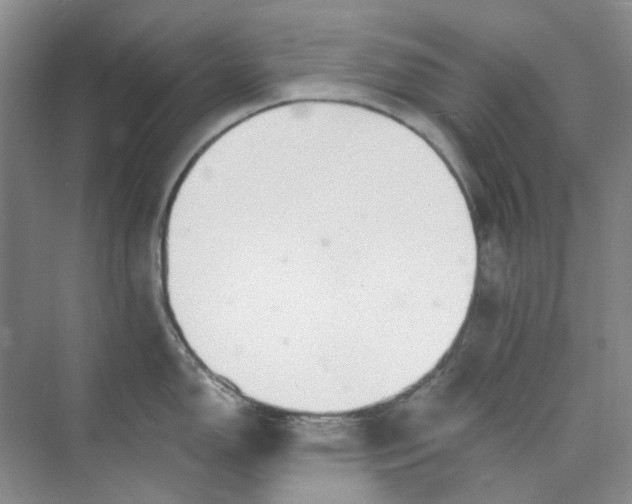 X0000073861150200608312020