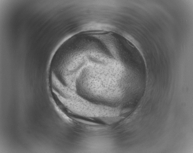 X0000073861152200608312020