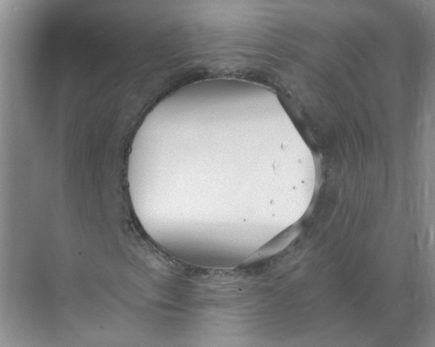 X0000073861153200608312019