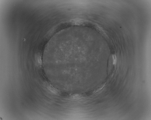 X0000073861155200608312019