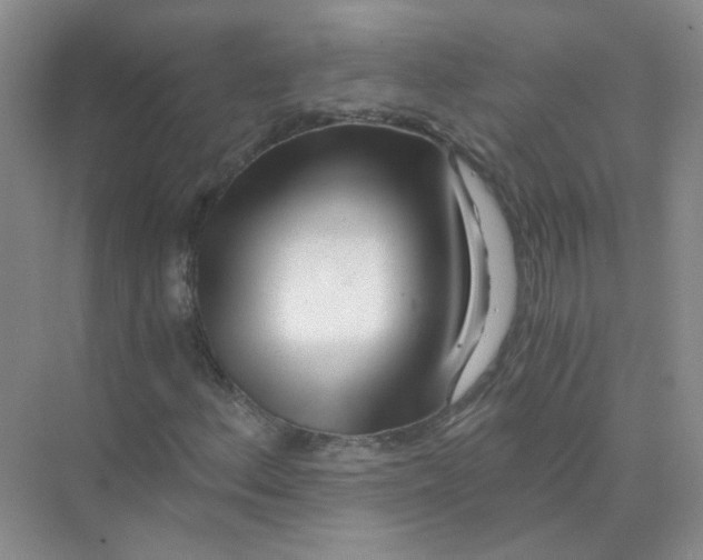 X0000073861156200608312019