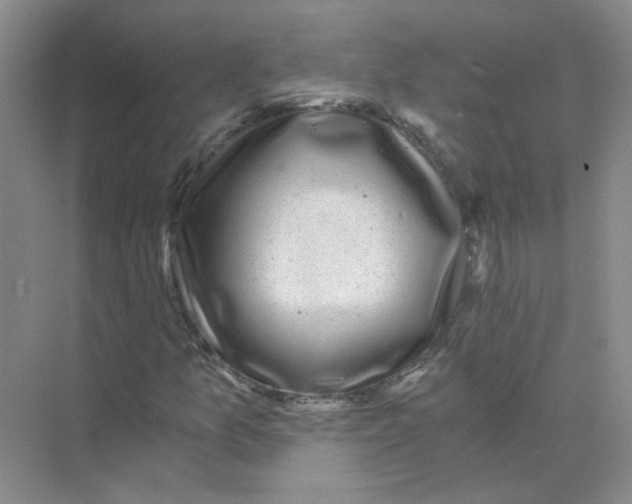 X0000073861157200608312019