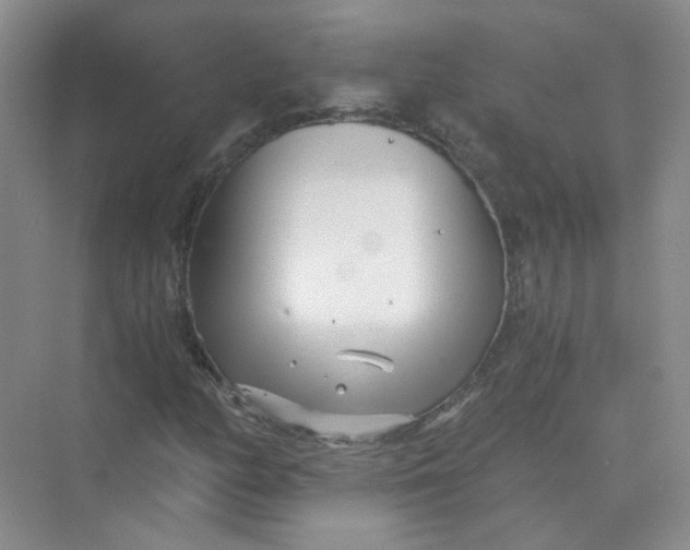 X0000073861158200608312019