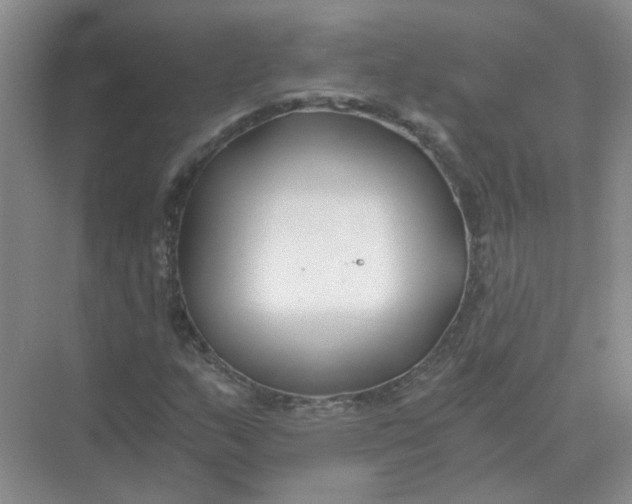 X0000073861159200608312019