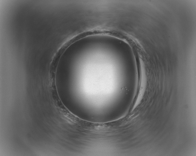 X0000073861160200608312019