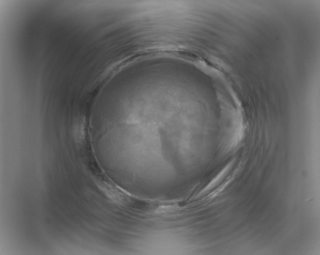 X0000073861161200608312019