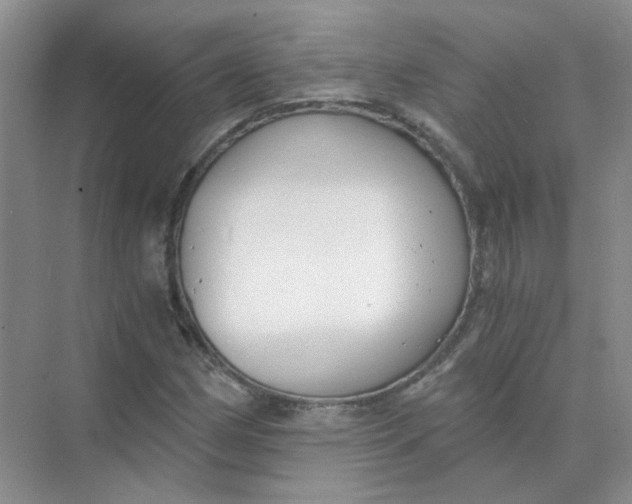 X0000073861162200608312019