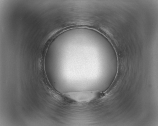 X0000073861163200608312019