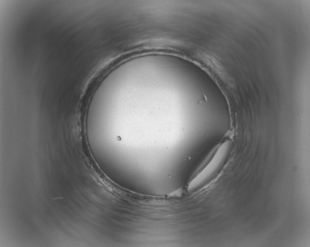 X0000073861164200608312019