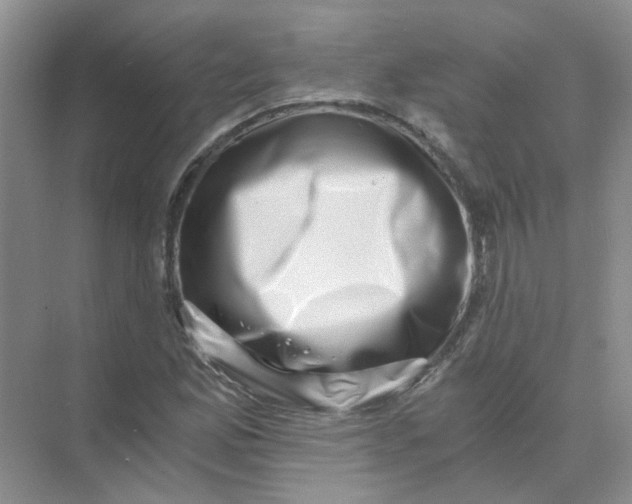 X0000073861165200608312019