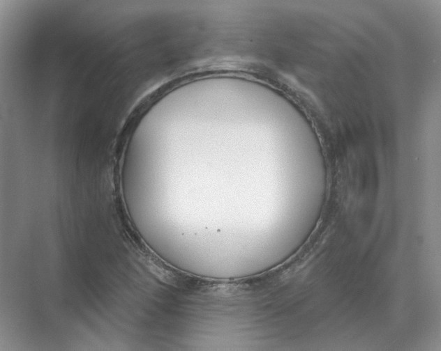 X0000073861166200608312019