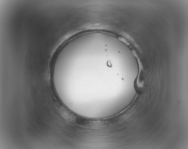 X0000073861167200608312019