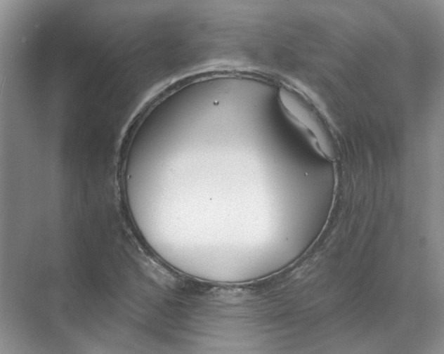 X0000073861168200608312019