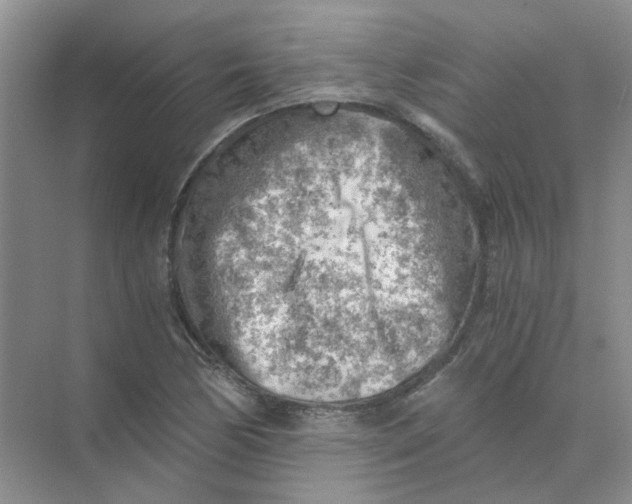 X0000073861170200608312019