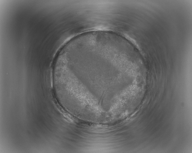 X0000073861171200608312019