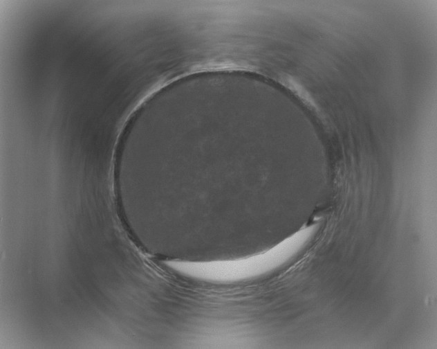 X0000073861173200608312019