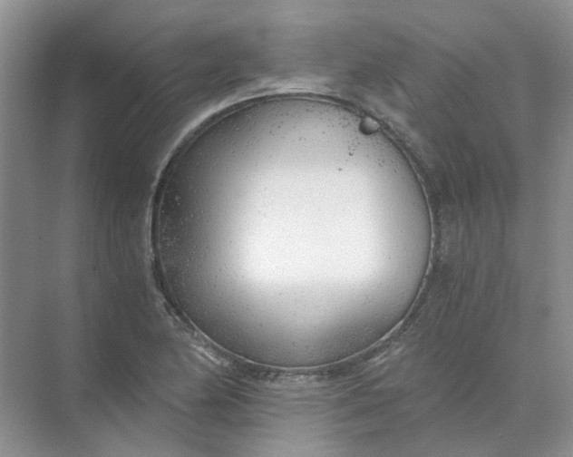 X0000073861174200608312019