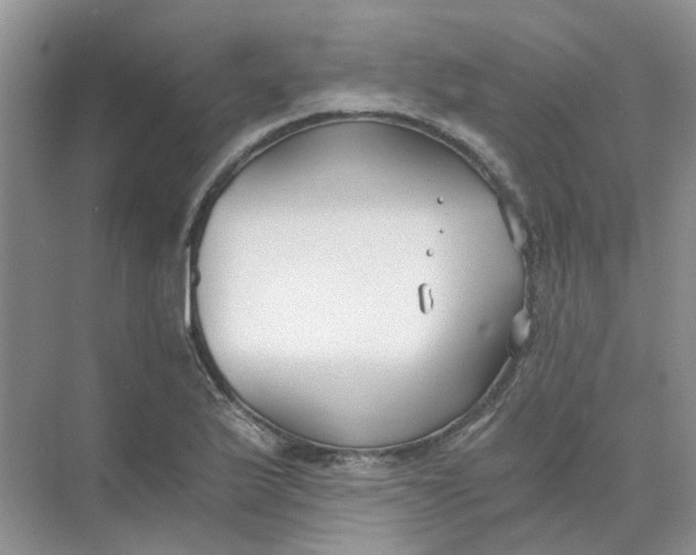 X0000073861175200608312019